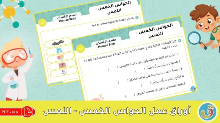 جسم الإنسان: أوراق عمل الحواس الخمس - اللمس