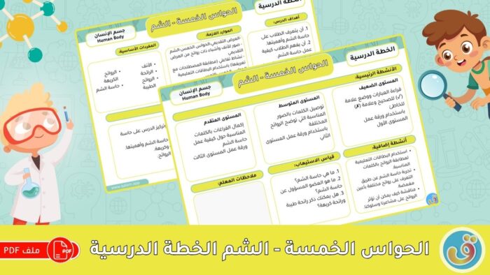 الحواس الخمس
