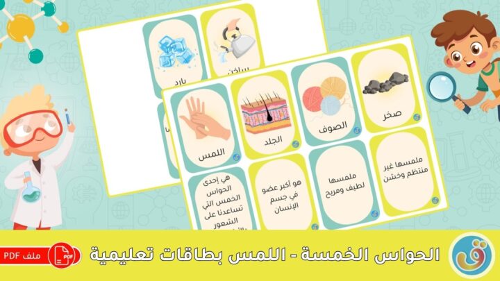 جسم الإنسان: بطاقات تعليمية – الحواس الخمس - اللمس