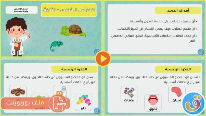 جسم الإنسان: بوربوينت الحواس الخمس - التذوق