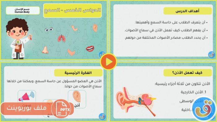 جسم الإنسان: بوربوينت الحواس الخمس - السمع