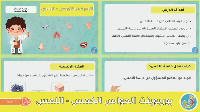 جسم الإنسان: بوربوينت الحواس الخمس - اللمس