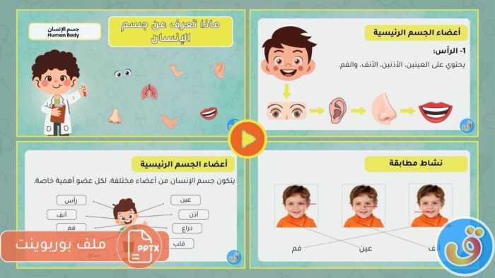 جسم الإنسان: بوربوينت ماذا تعرف عن جسم الإنسان