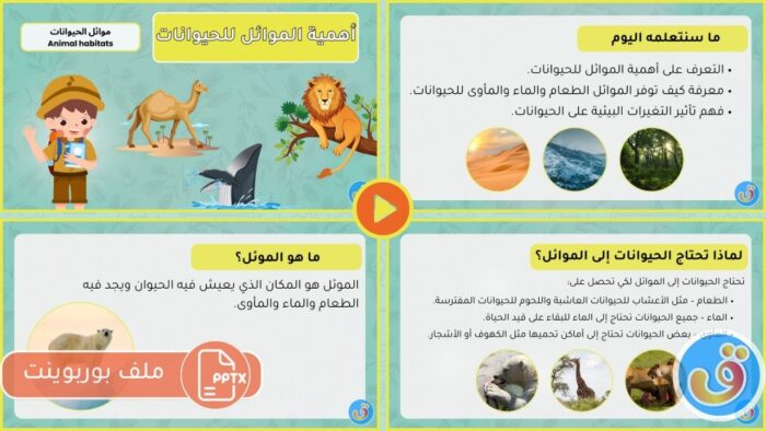 موائل الحيوانات: أهمية الموائل للحيوانات - بوربوينت