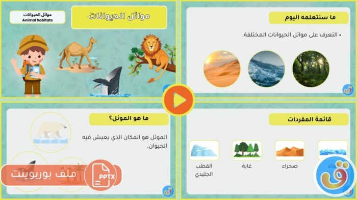 موائل الحيوانات: بوربوينت ماذا تعرف عن موائل الحيوانات