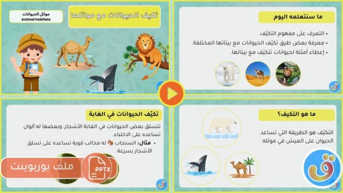 موائل الحيوانات: تكيف الحيوانات مع موائلها - بوربوينت