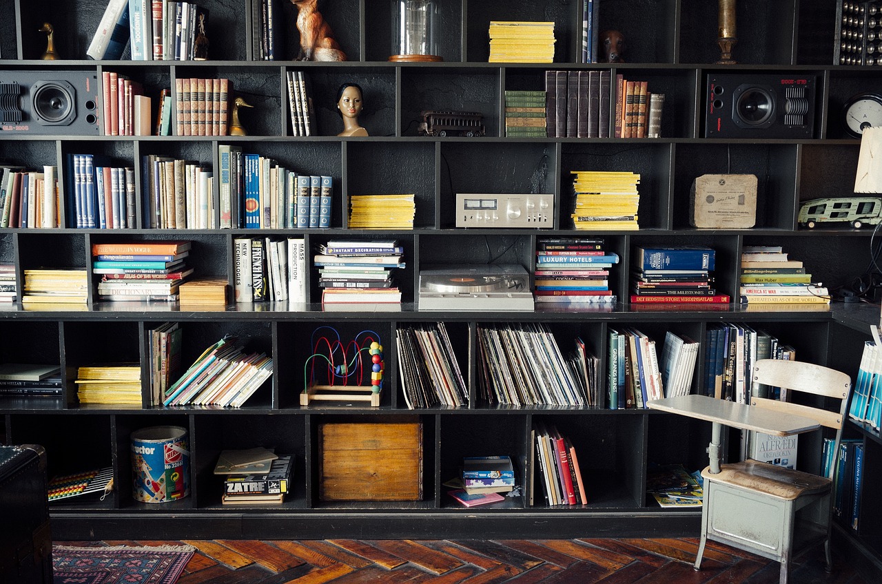 bookshelf, library, literature, books, knowledge, information, bookstore, shelf, cupboard, reading, interior, shelves, equipment, wood, tumblr wallpaper, bookshelf, bookshelf, bookshelf, library, library, library, library, library, books, books, books, books